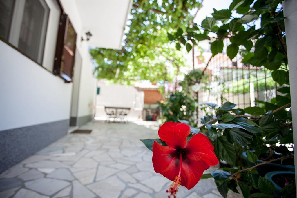 Apartments Mladen Duće المظهر الخارجي الصورة